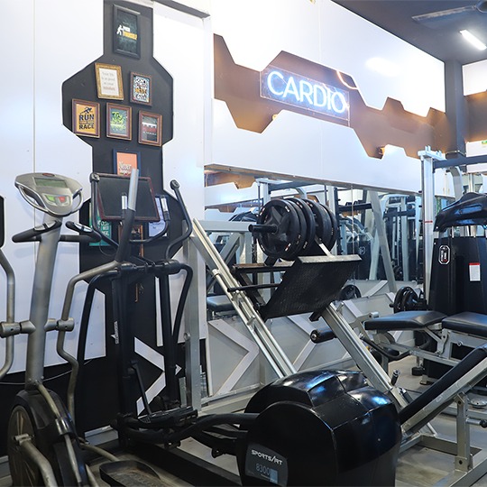 RLMC-GYM
